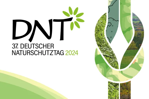 Schriftzug DNT